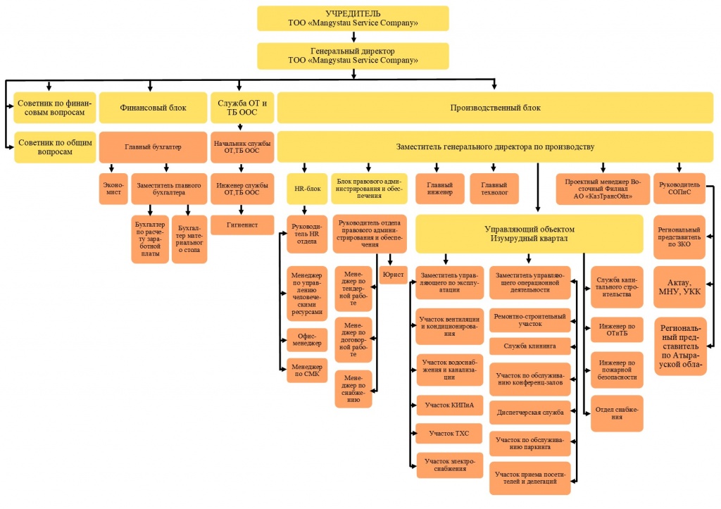 Organizational Structure